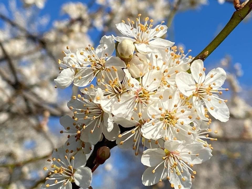 Huis Van Loon Borgloon Dış mekan fotoğraf